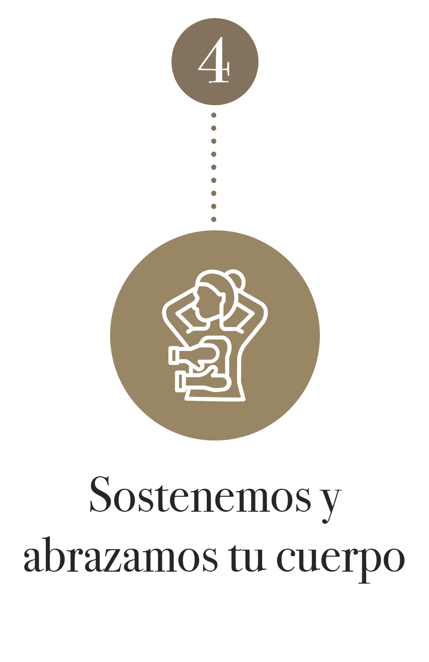 Icones Fases-20